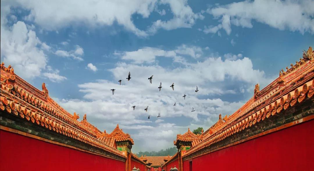 媒体报道